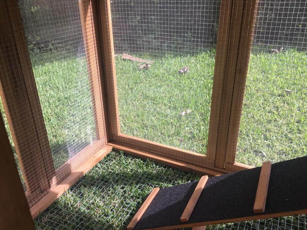 Internal view of ramp to cat enclosure