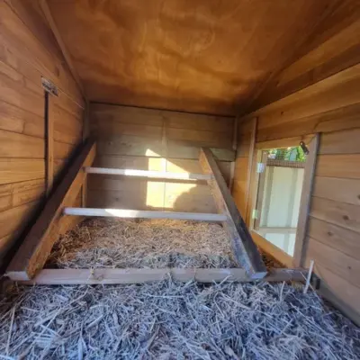 Homestead Coop