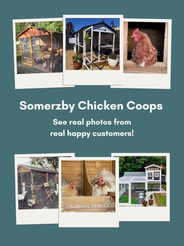 Chicken Coop Customer Photos - Mobile Banner