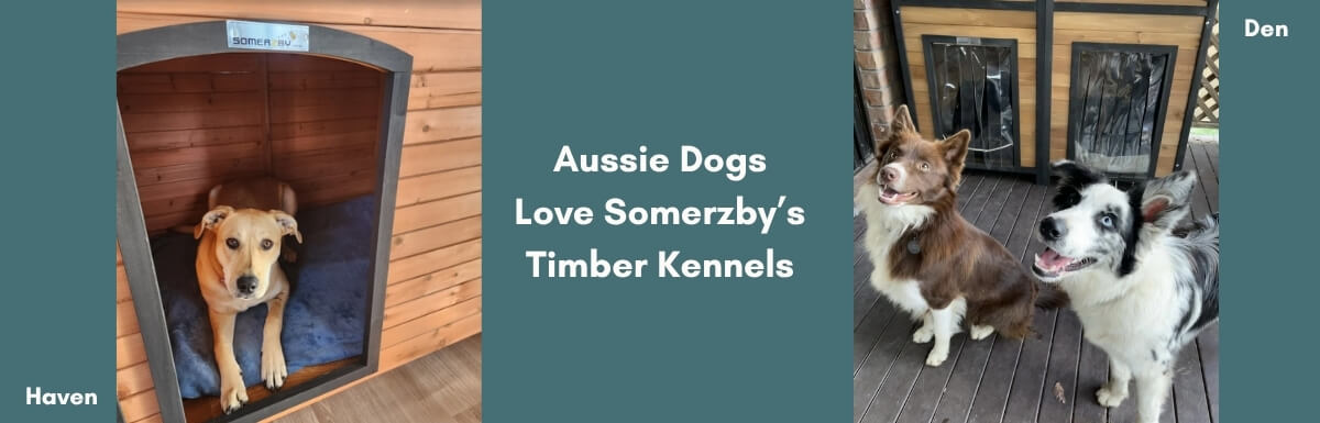 Dog Kennels - Web Banner